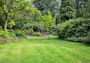 Optimiser l'expérience du jardin à Brin-sur-Seille